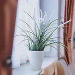 Apartmán Lakeside Plattner By We Rent, Summercard Included *