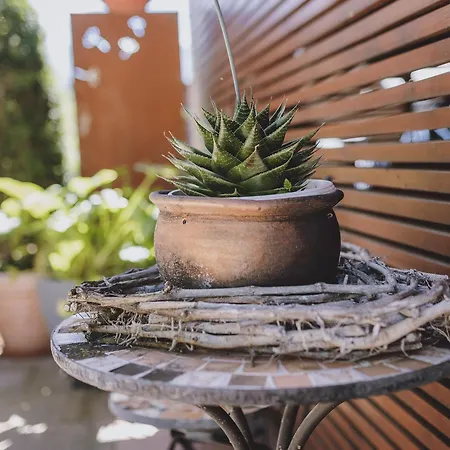 Lakeside Plattner By We Rent, Summercard Included Zell am See