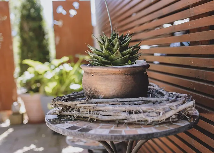 Lakeside Plattner By We Rent, Summercard Included Zell am See